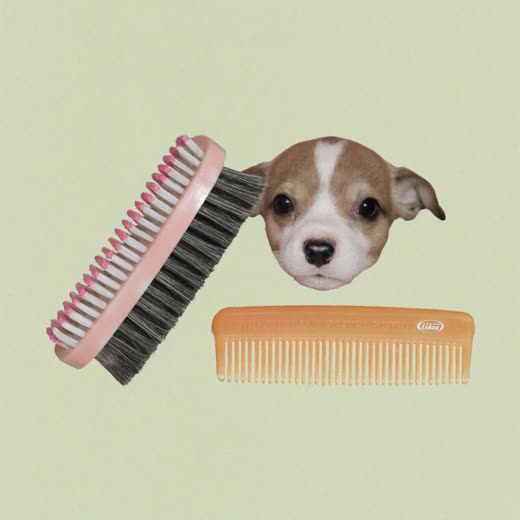 A soft grooming brush and comb for small animals
