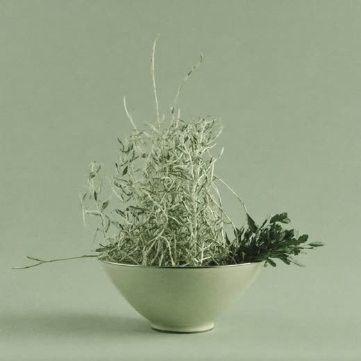 Fresh hay and greens in a simple feeding bowl
